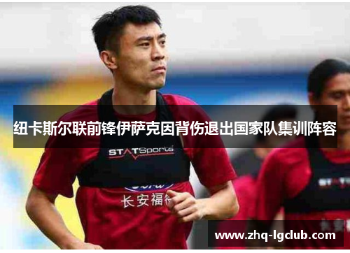 纽卡斯尔联前锋伊萨克因背伤退出国家队集训阵容